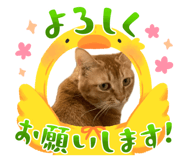 743785234