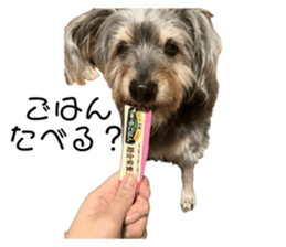 743785568