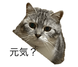743786385