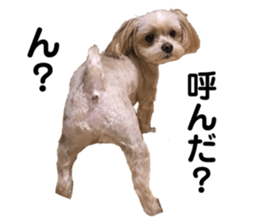 743786801