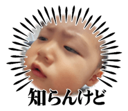 743801559