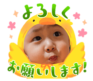 743801560