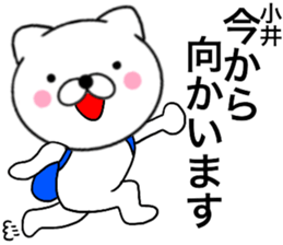 74380878