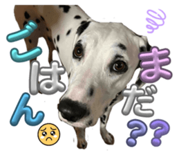743813724