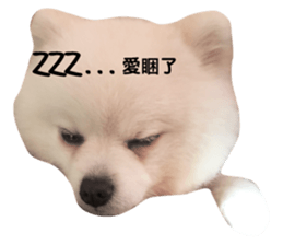 74382727