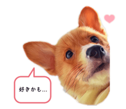 743843512