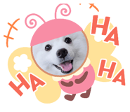 743862730