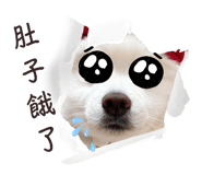 743862742