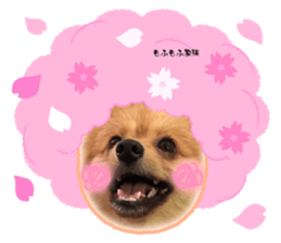 743873777