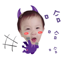 74388036