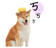 743894222