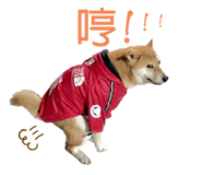 743894240