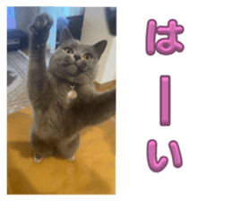 743895322