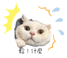 743896603