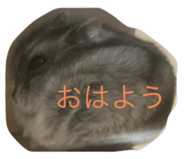 743896937