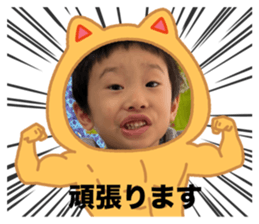 743897517