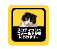 743906202