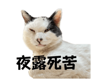 743906225