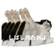 743906231