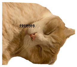 743909854