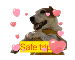 743911179