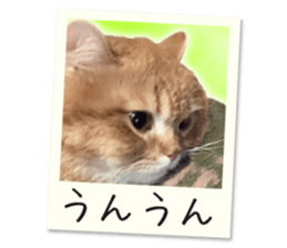 743931887