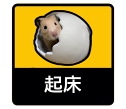 743935571