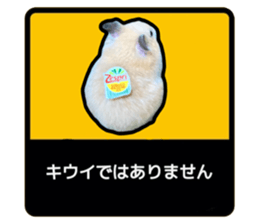 743935572