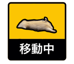 743935573