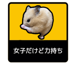 743935574