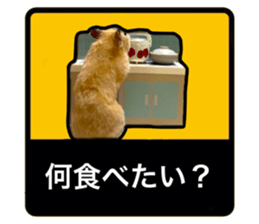743935576