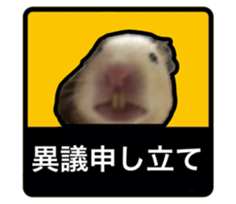 743935578