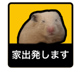 743935582