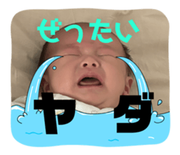743938833