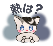 743948078