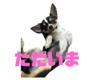 743949755