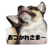 743949759