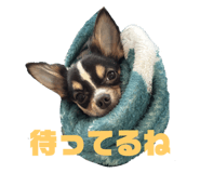 743949761
