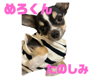 743949768