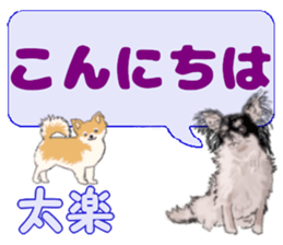 743952833