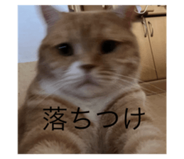 743964014
