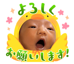 743964335
