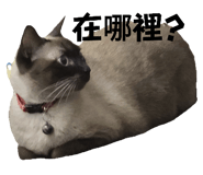 743976442