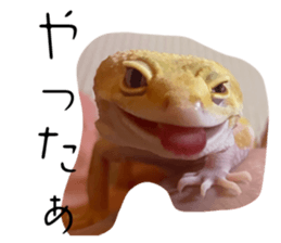 743976573