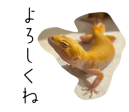 743976582