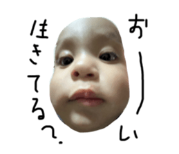743981386