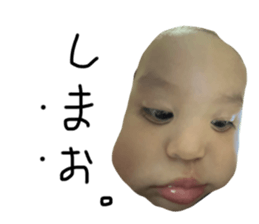 743981395
