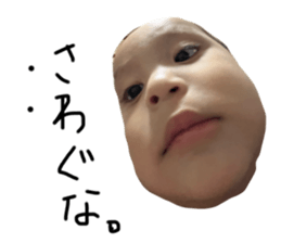 743981397