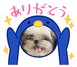 744002888