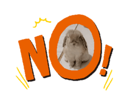 744090906